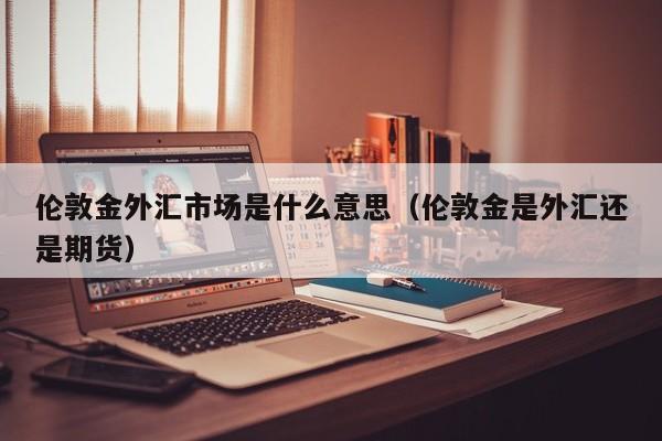 伦敦金外汇市场是什么意思（伦敦金是外汇还是期货）