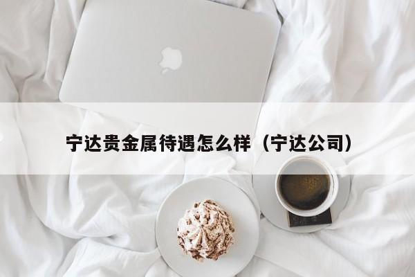 宁达贵金属待遇怎么样（宁达公司）