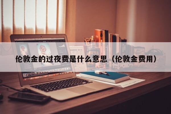 伦敦金的过夜费是什么意思（伦敦金费用）