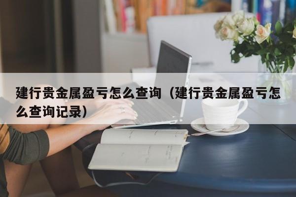建行贵金属盈亏怎么查询（建行贵金属盈亏怎么查询记录）