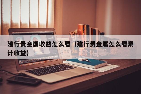 建行贵金属收益怎么看（建行贵金属怎么看累计收益）