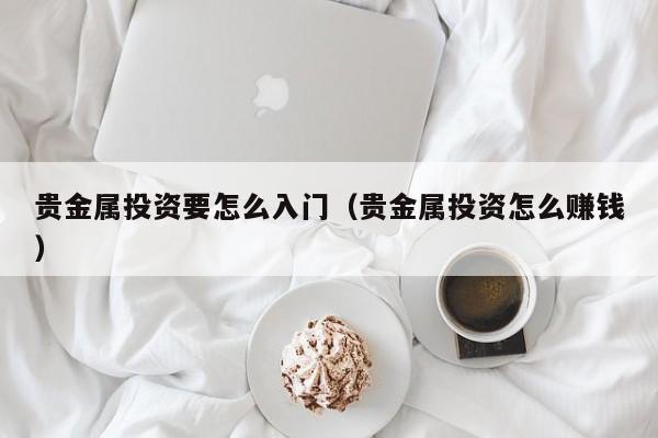 贵金属投资要怎么入门（贵金属投资怎么赚钱）